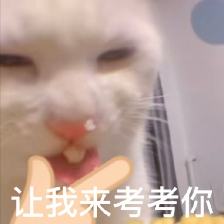 雙非大三，績點低，想去香港留學來得及嗎？怎么補救？