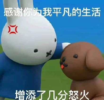 為什么不建議家境普通的學(xué)生讀商科？