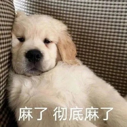 留學(xué)生10大最難學(xué)專業(yè)，金融竟然是最后一名？