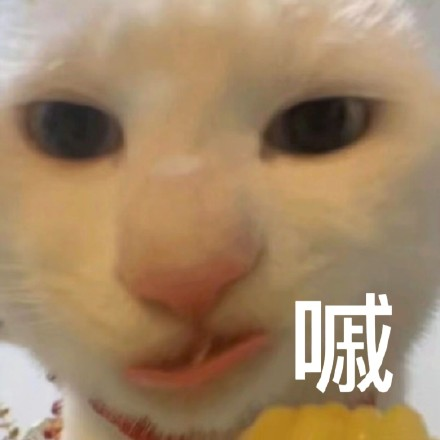 留學(xué)生10大最難學(xué)專業(yè)，金融竟然是最后一名？