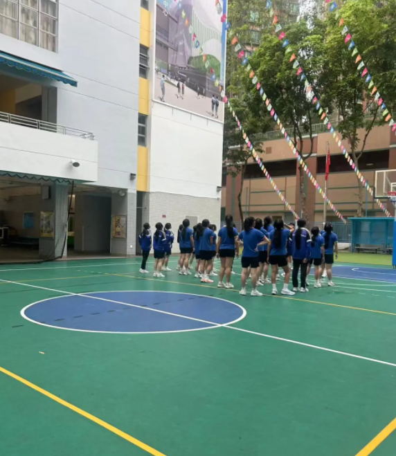 想去香港沙田區(qū)讀中學(xué)，該怎么選學(xué)校？